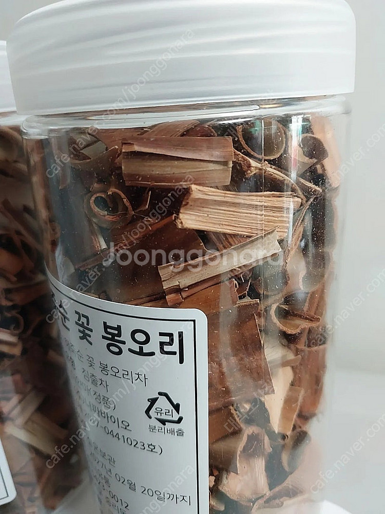 해죽순 꽃 봉오리차 5개--2