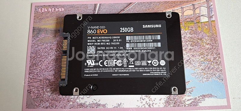 삼성 SSD 860 evo 250GB--0