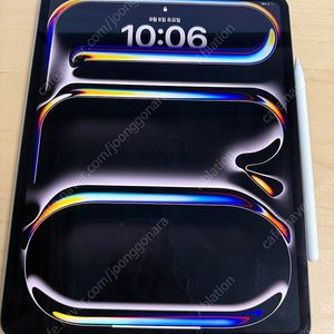 아이패드 프로 M4 13 256GB + 애플펜슬 160만원에 팝니다