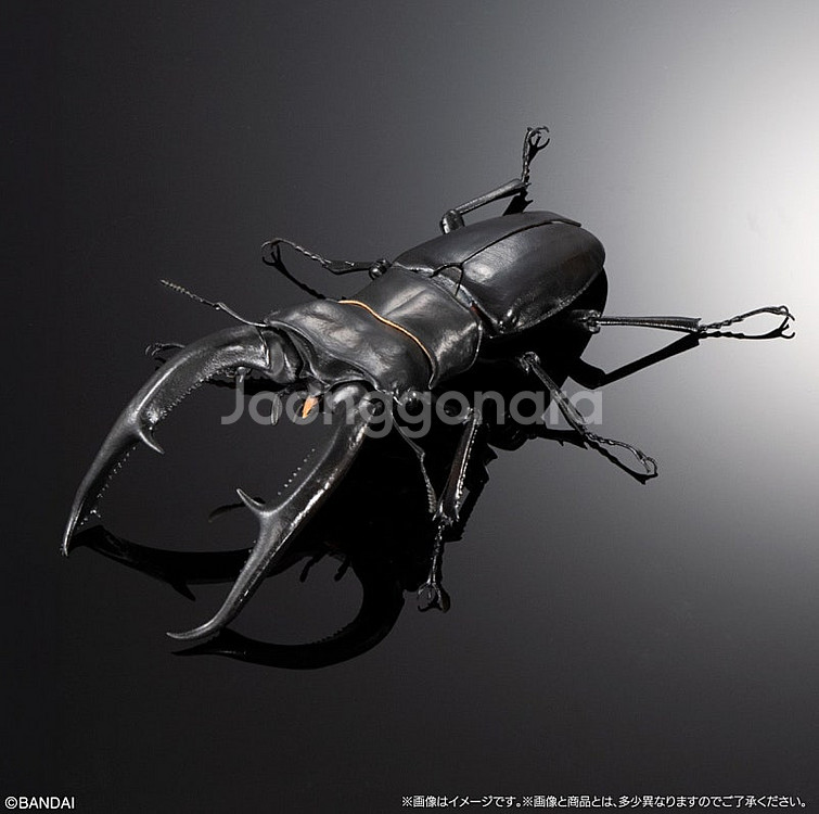 BANDAI(반다이), 생물대도감(어드벤스: 만디블라리...--1