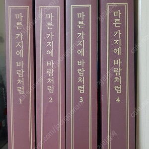 마른가지에 바람처럼 소설 소장용