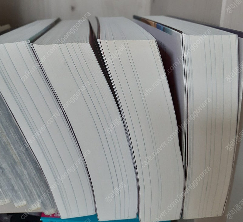 마른가지에 바람처럼 소설 소장용--1