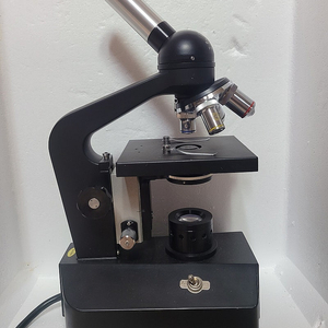 피셔3 생물현미경 이미지