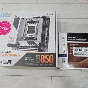 컬러풀 b850i + 녹투아 l9a-am5 새제품 itx