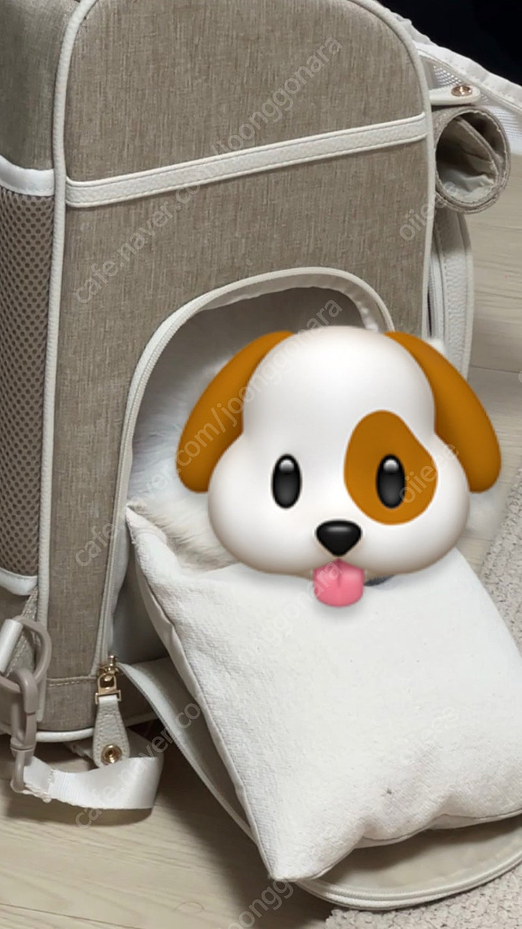 밀리옹 강아지,고양이 백팩 캐리어 M사이즈 이미지