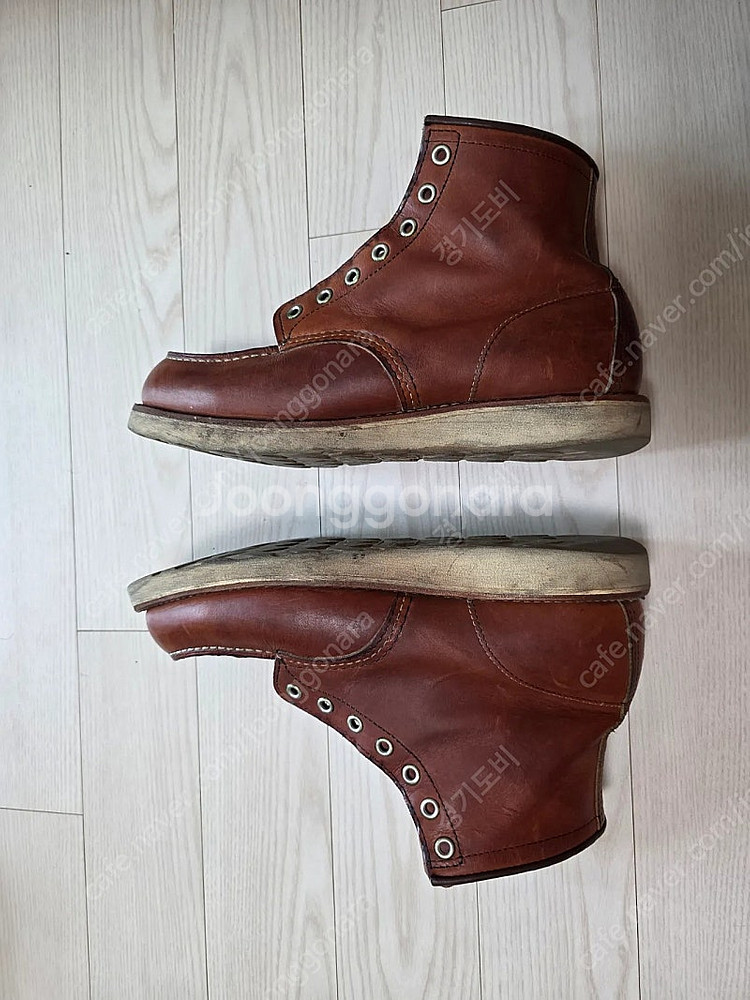 레드윙 875 목토 (270mm / 9D)--5