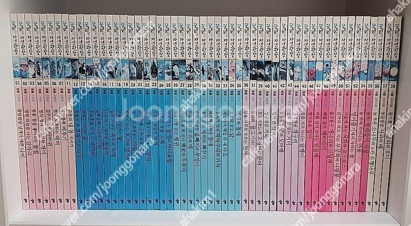 웅진다책구름버스그림책(42권) 한국톨스토이지혜로운탈무드...--4