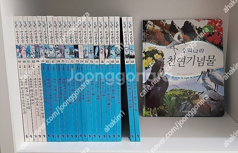 웅진다책구름버스그림책(42권) 한국톨스토이지혜로운탈무드...--5