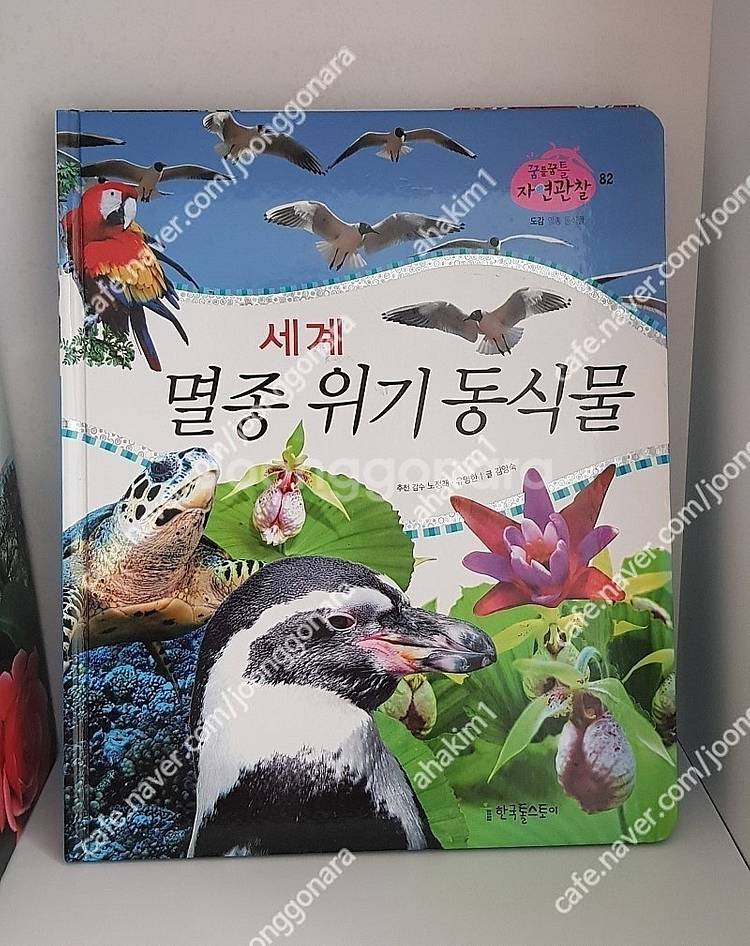 웅진다책구름버스그림책(42권) 한국톨스토이지혜로운탈무드...--6