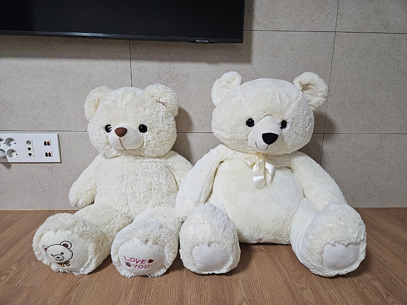 곰인형(대형) 이미지