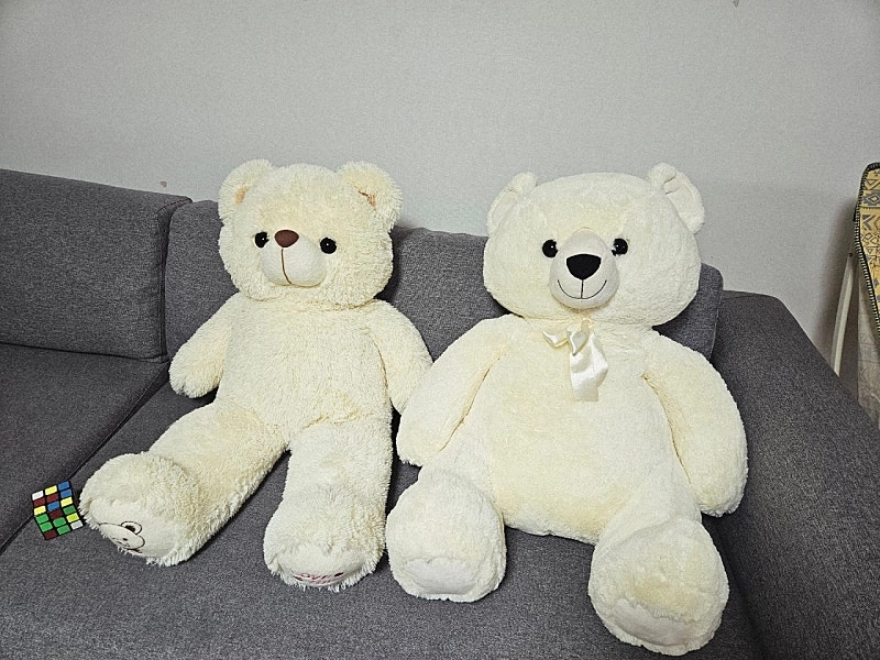 곰인형(대형) 이미지