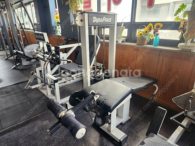 헐스장 기구 런닝 풀셋트--8