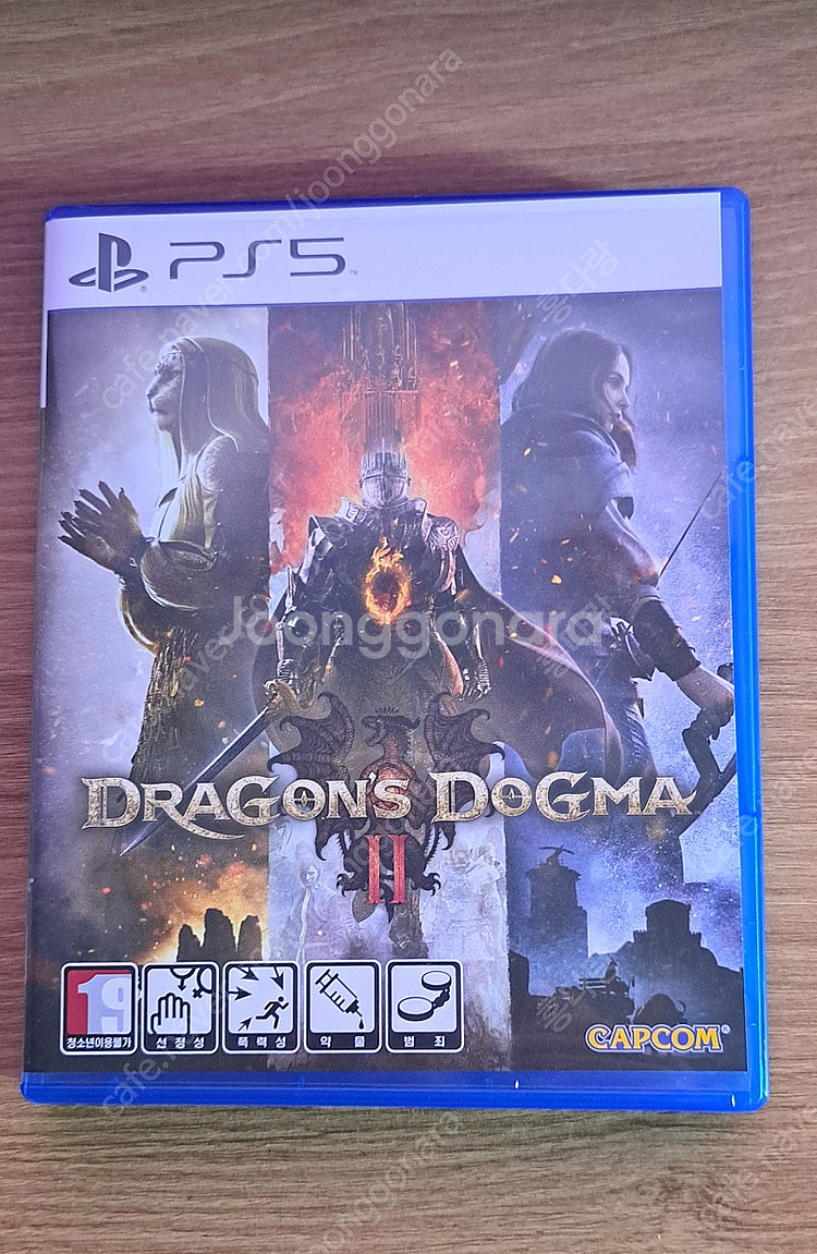 ps5 드래곤즈 도그마2--0