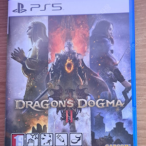 ps5 드래곤즈 도그마2