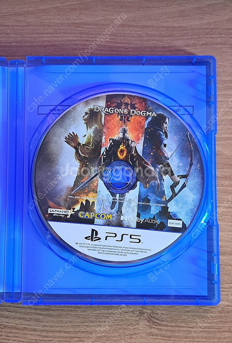 ps5 드래곤즈 도그마2--1