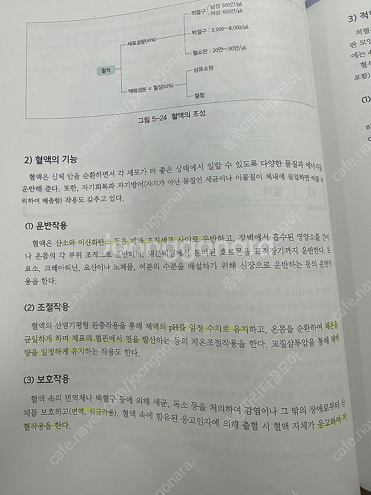 알기 쉬운 핵심 해부생리학 제3판 의학교육--3