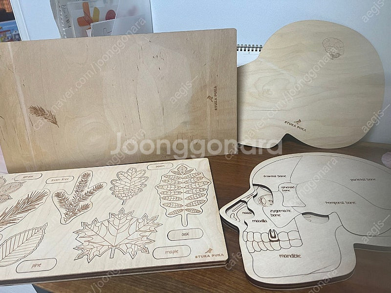 스투카푸카 뇌 / 나뭇잎 몬테소리 퍼즐 영문판(미사용)-할인--0