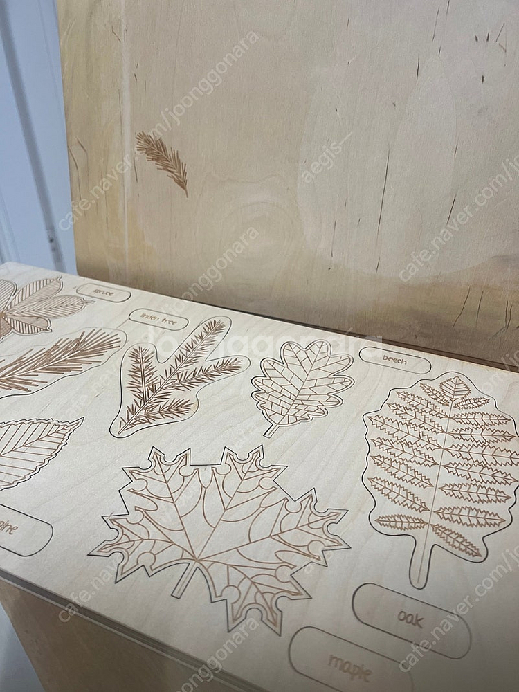 스투카푸카 뇌 / 나뭇잎 몬테소리 퍼즐 영문판(미사용)-할인--1