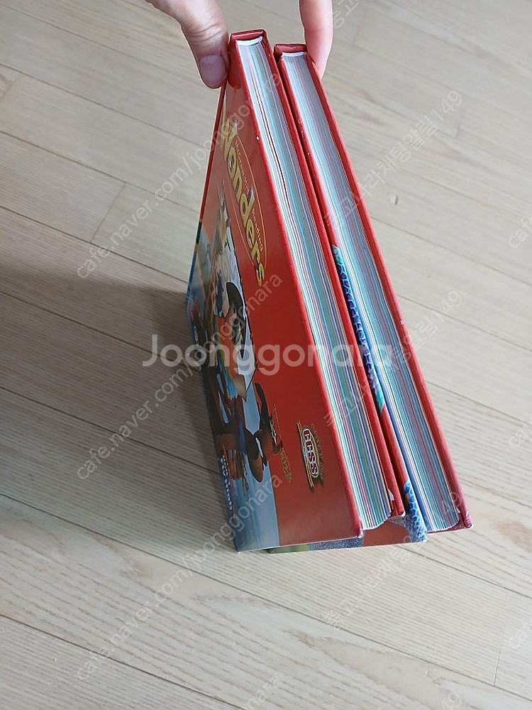 뉴에디션 wonders gold--1