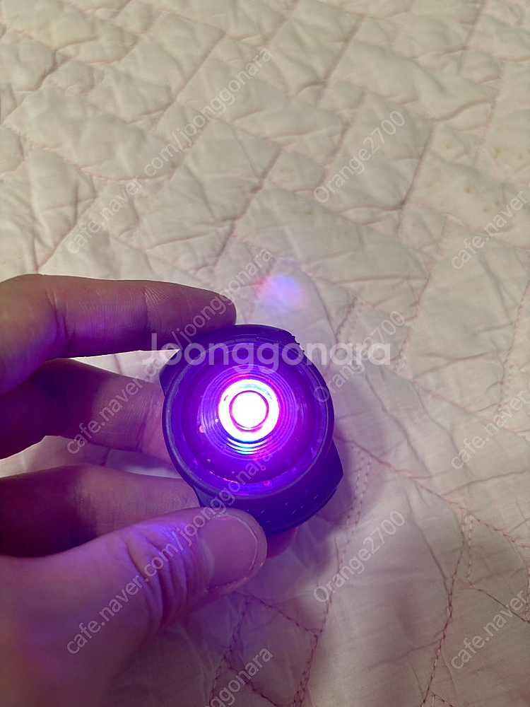 반택포) 오빌락 독 듀얼 세이프티라이트 퍼플(보라)--0