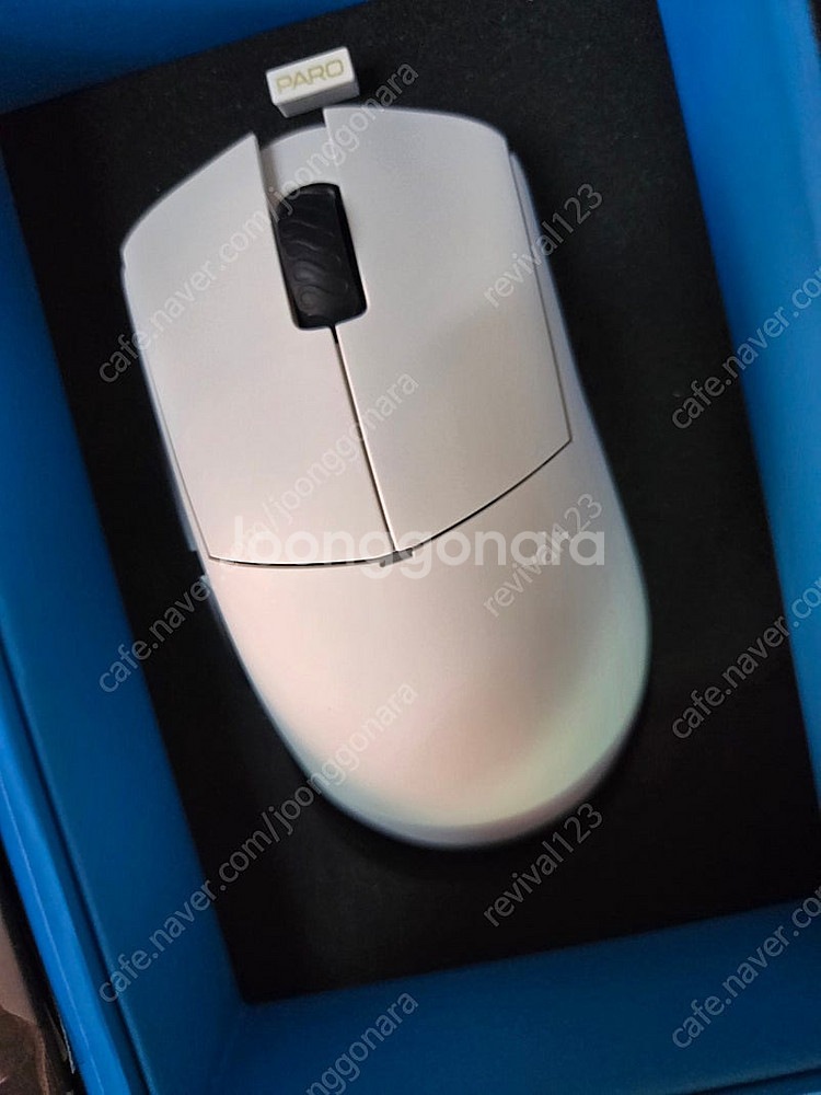 람주 파로 오로라 8k 화이트--1