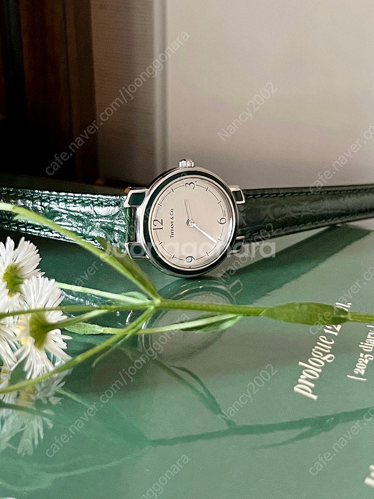 Tiffany&Co 라운드 그린 베젤 티파니 앤 코 빈...--0