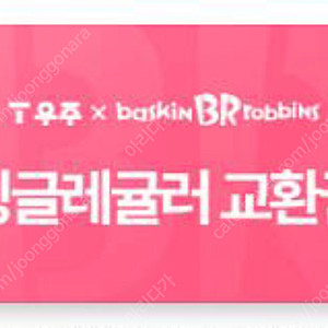 베스킨라빈스 싱글레귤러