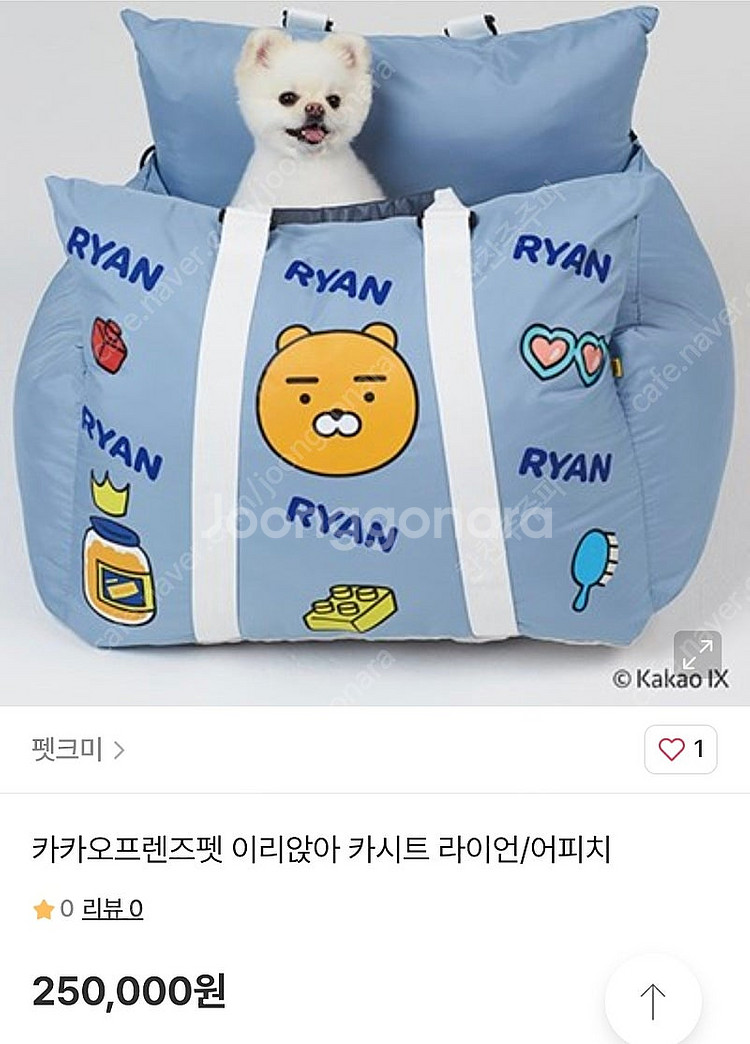 애견 카시트--3