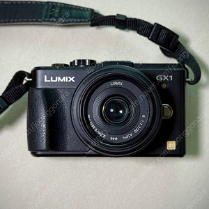 파나소닉 루믹스 GX1 카메라 바디 팝니다.