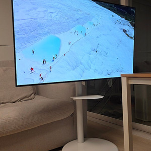 LG 55인치 OLED TV + 삼탠바이미 거치대
