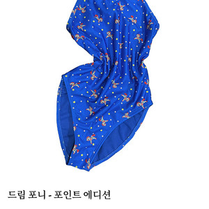 풀타임 드림포니 포인트 에디션