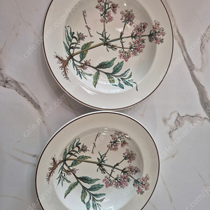 빌보 보타니카 파스타볼