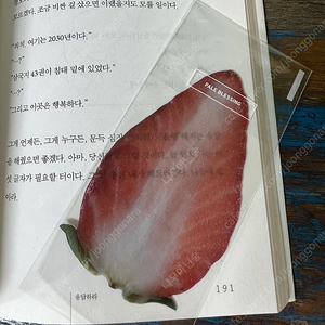 이옥토님 딸기책갈피
