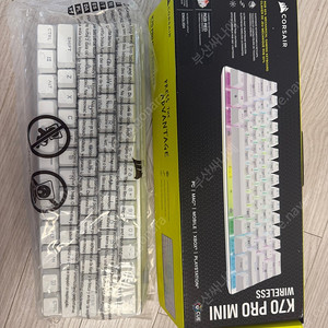 커세어 k70 pro mini 화이트