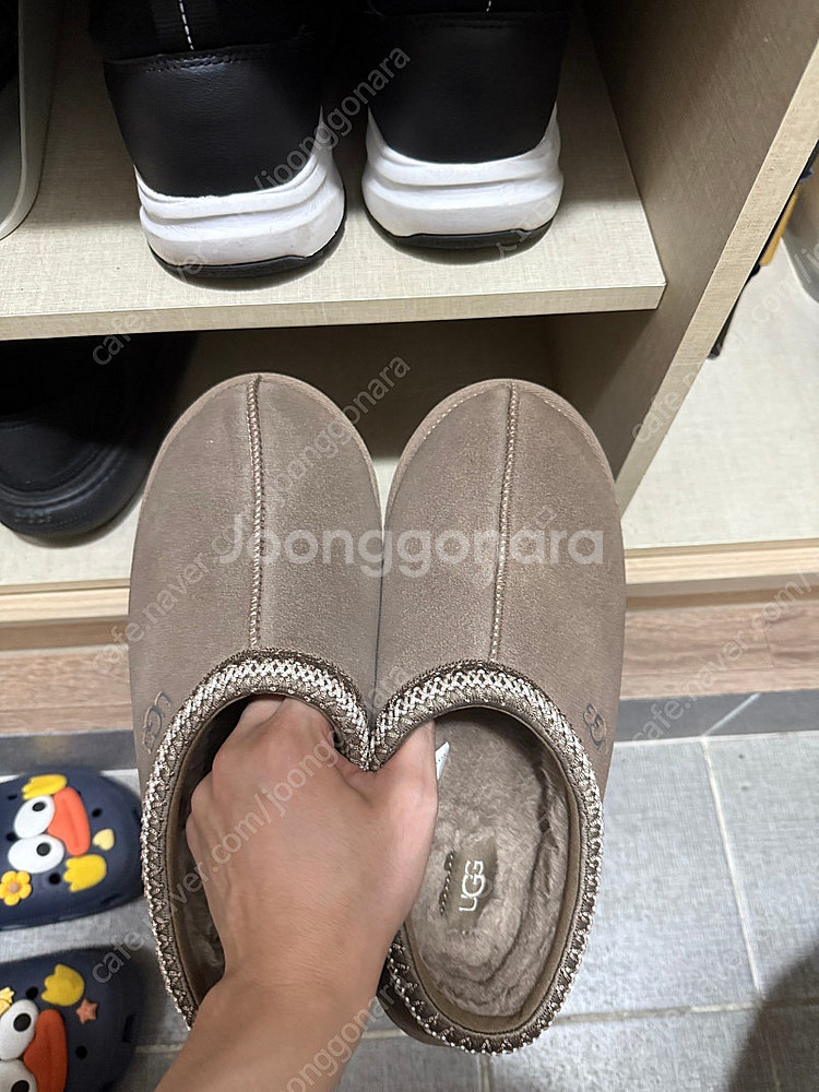 어그 타스만 M8--0