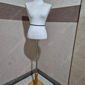 여성용 인대 (바디)판매합니다
