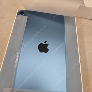 아이패드 A16 블루 128GB LTE 셀룰러 정상해지 공기기 팝니다.