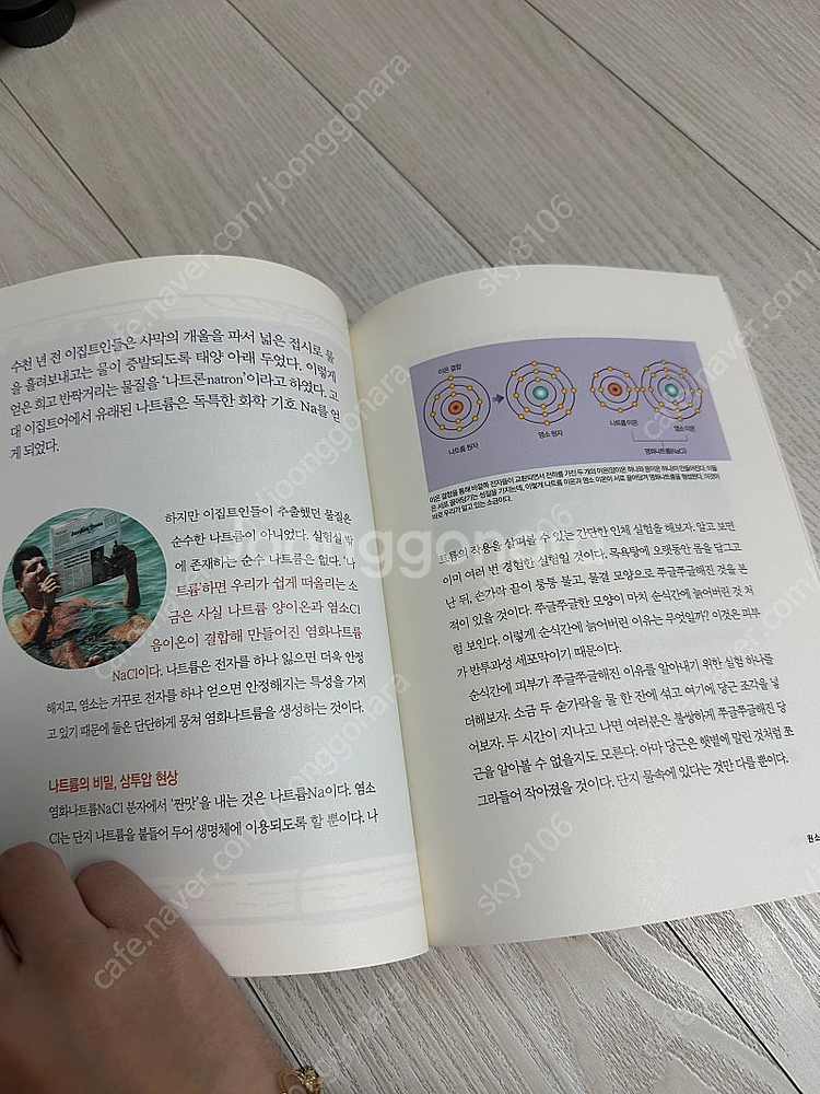 사이언싱 오딧세이 40권--3