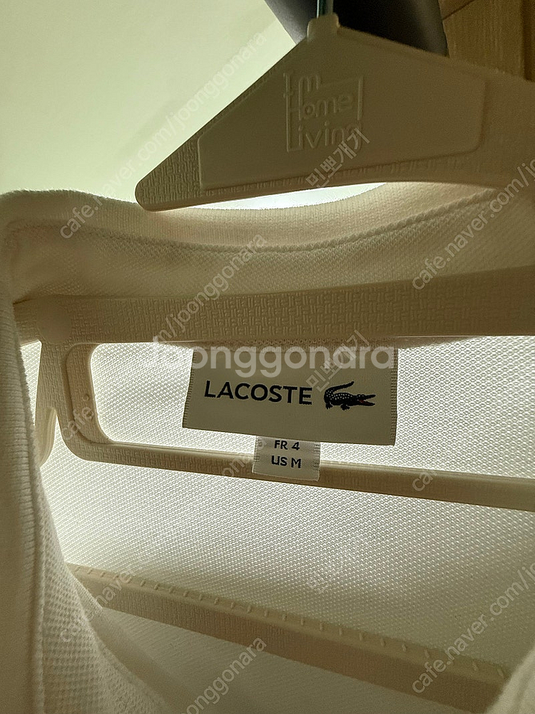 라코스테 파리폴로 카라티 3벌 일괄 판매 합니다.--1