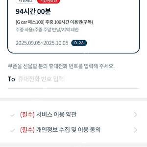 g카 100패스 팝니다 94시간