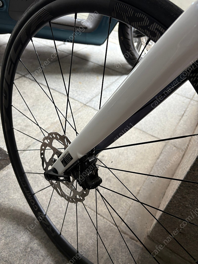 첼로 케인 D7 카본 시노마105--7