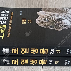 공심당 로열생물 상 하