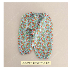 프리젠트프로젝트 프프 고쟁이S