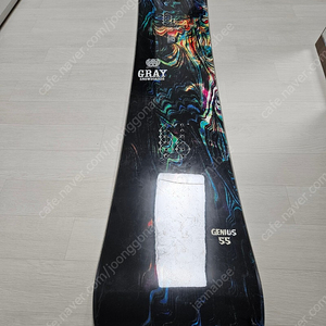 그레이 지니어스 라운드데크155 플럭스ds 미디움