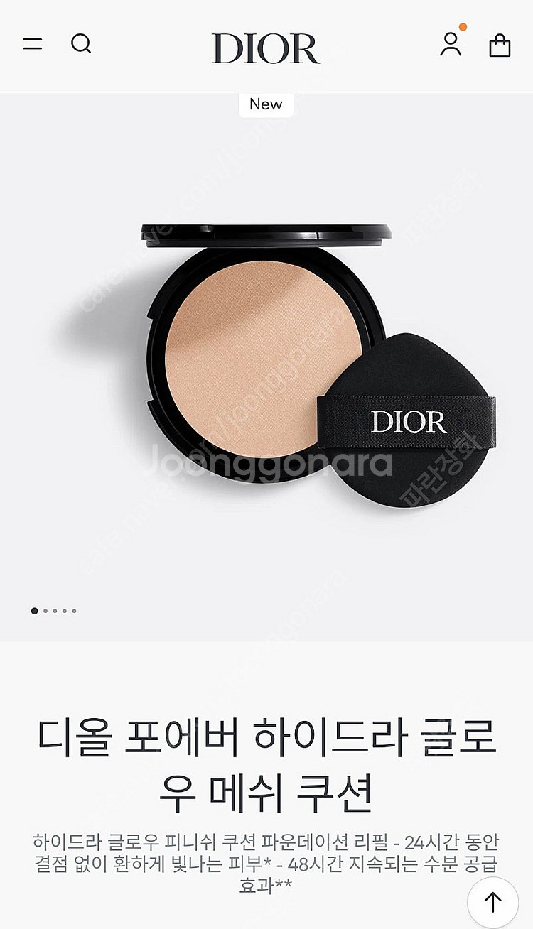 디올 포에버 하이드라 글로우 메쉬 쿠션--0