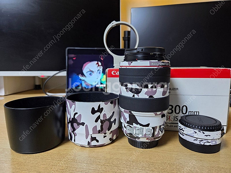캐논 EF 70-300mm f/4-5.6L IS USM...--0