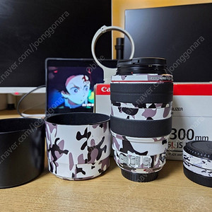 캐논 EF 70-300mm f/4-5.6L IS USM 할매백통