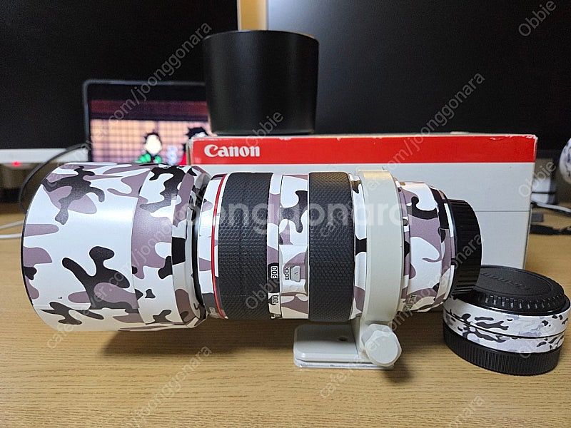 캐논 EF 70-300mm f/4-5.6L IS USM...--1