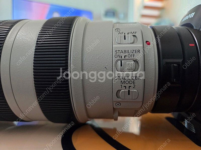 캐논 EF 70-300mm f/4-5.6L IS USM...--2