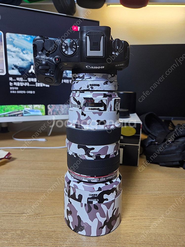 캐논 EF 70-300mm f/4-5.6L IS USM...--3